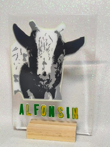 cuadro rostro una imagen 12€
cuadro rostro dos imagen 15€